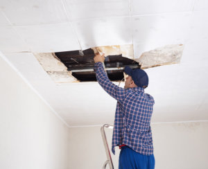 man fixing ceiling 